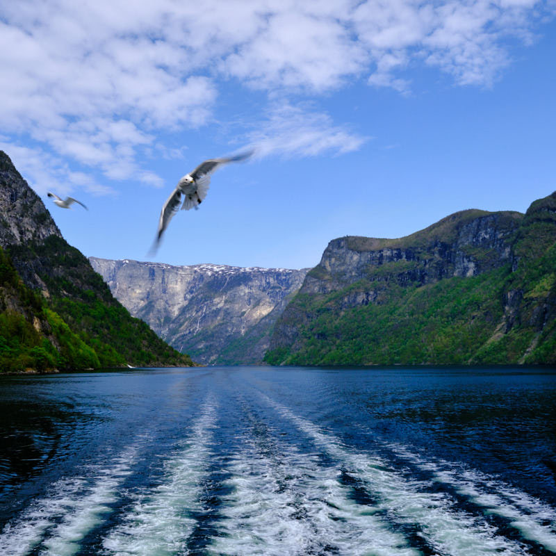 Gudvangen Fjord Norway
