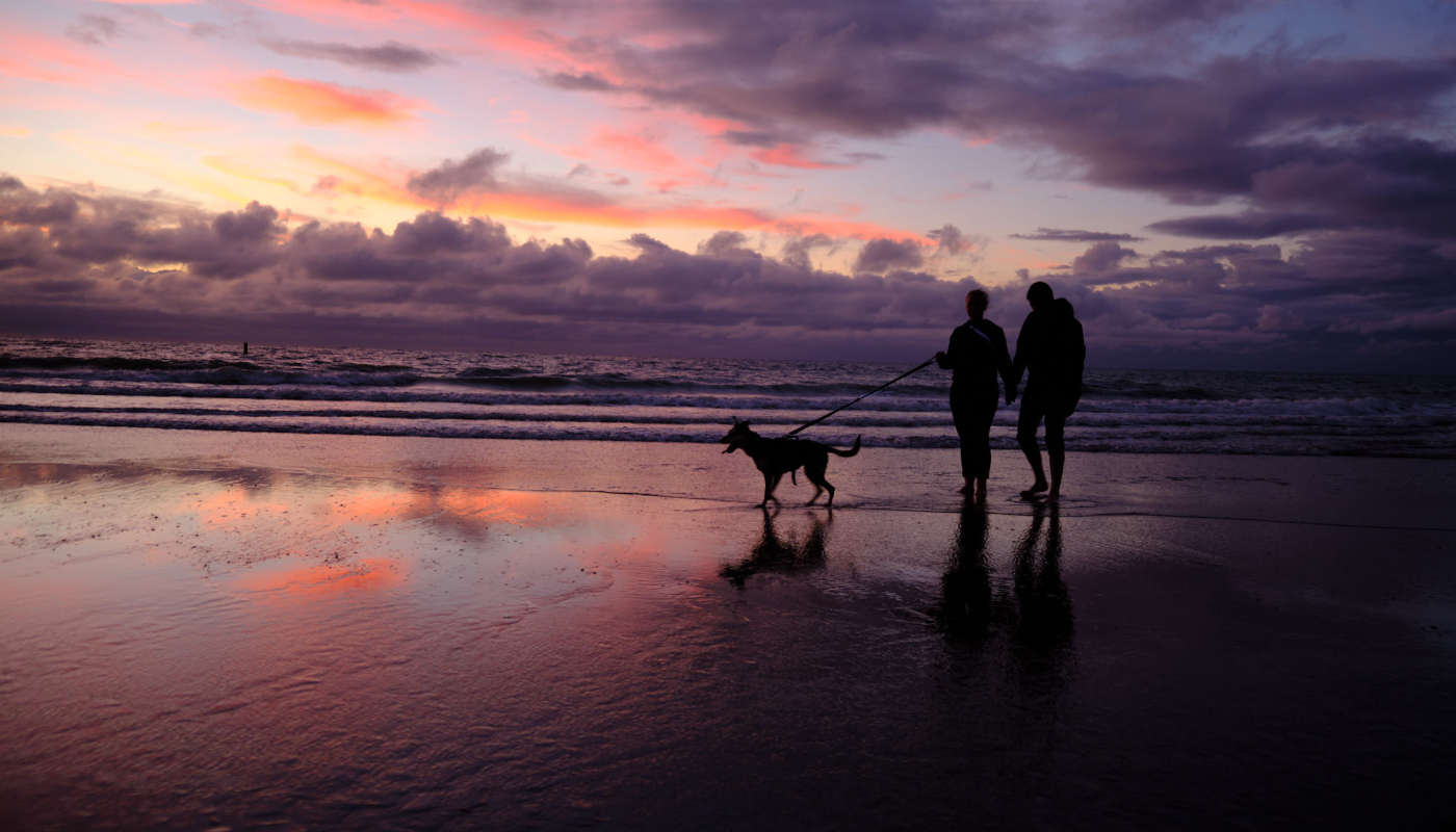 walk on the beach sunset family dog