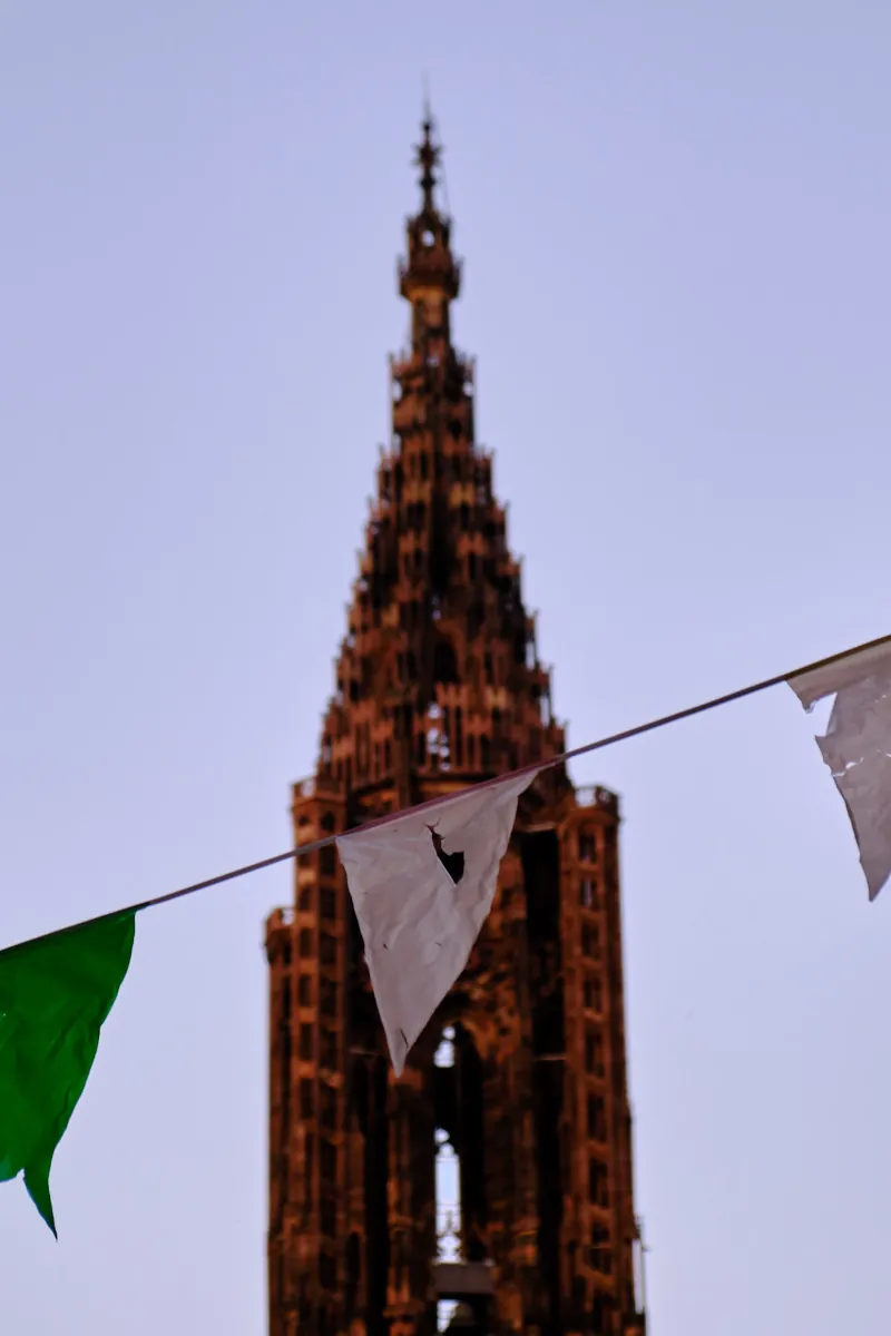 Oarty flag in front of the Strasbourg cathedral