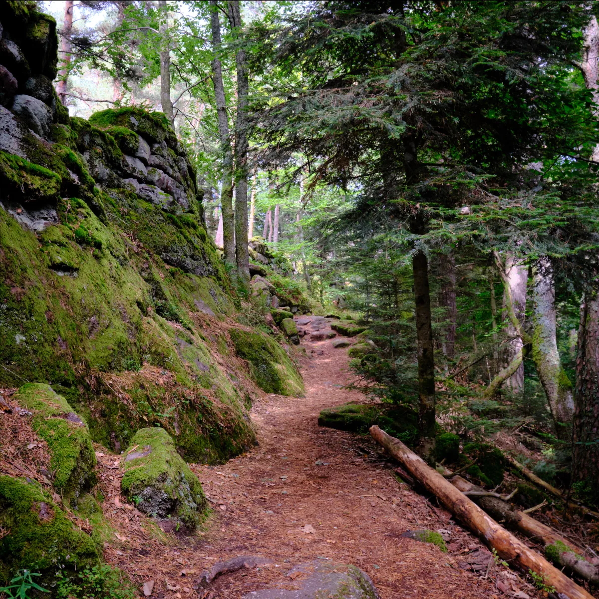 Oslo, Norway Historisk Museum swords Ulfberht