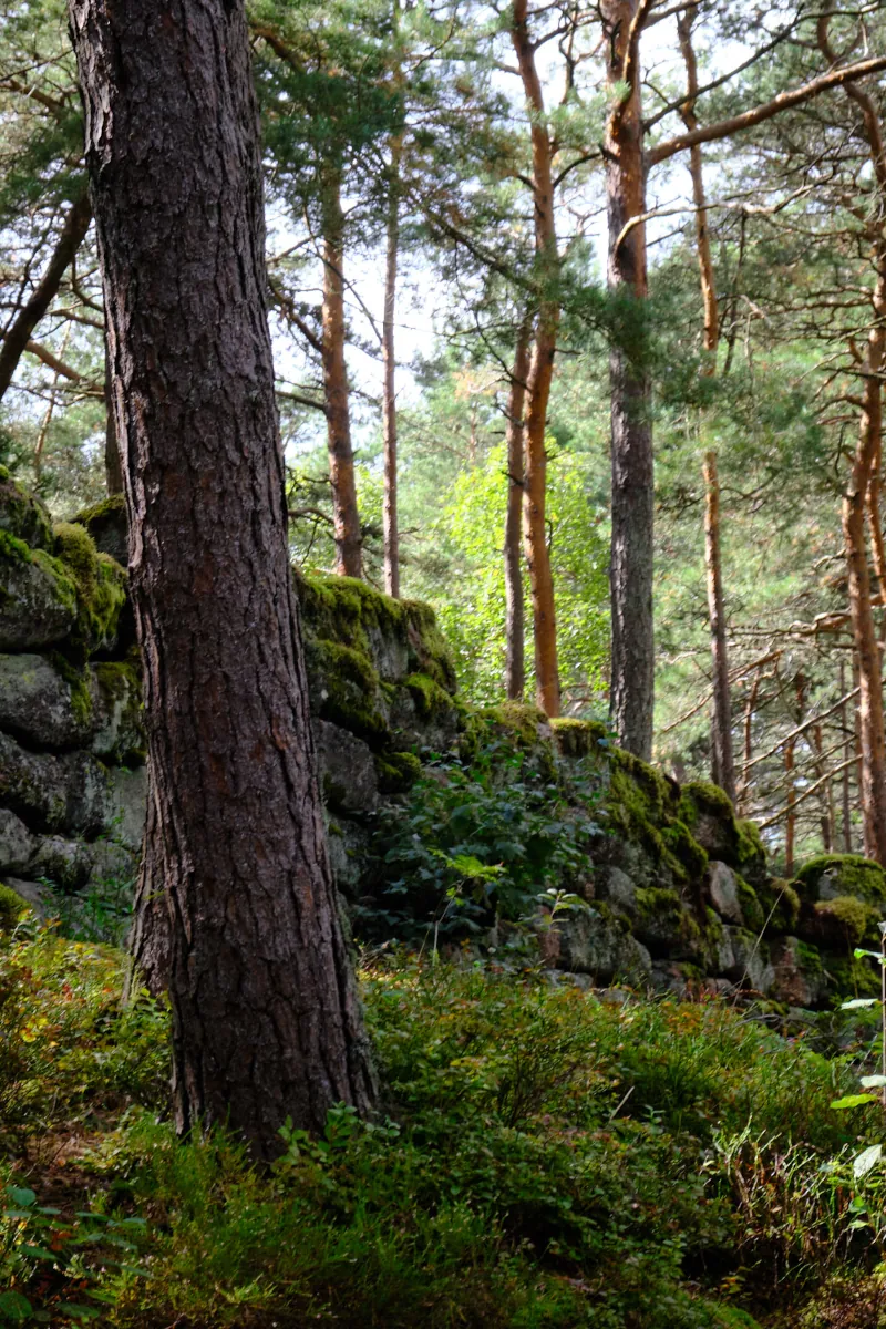 Landscape Preikestolen Norway