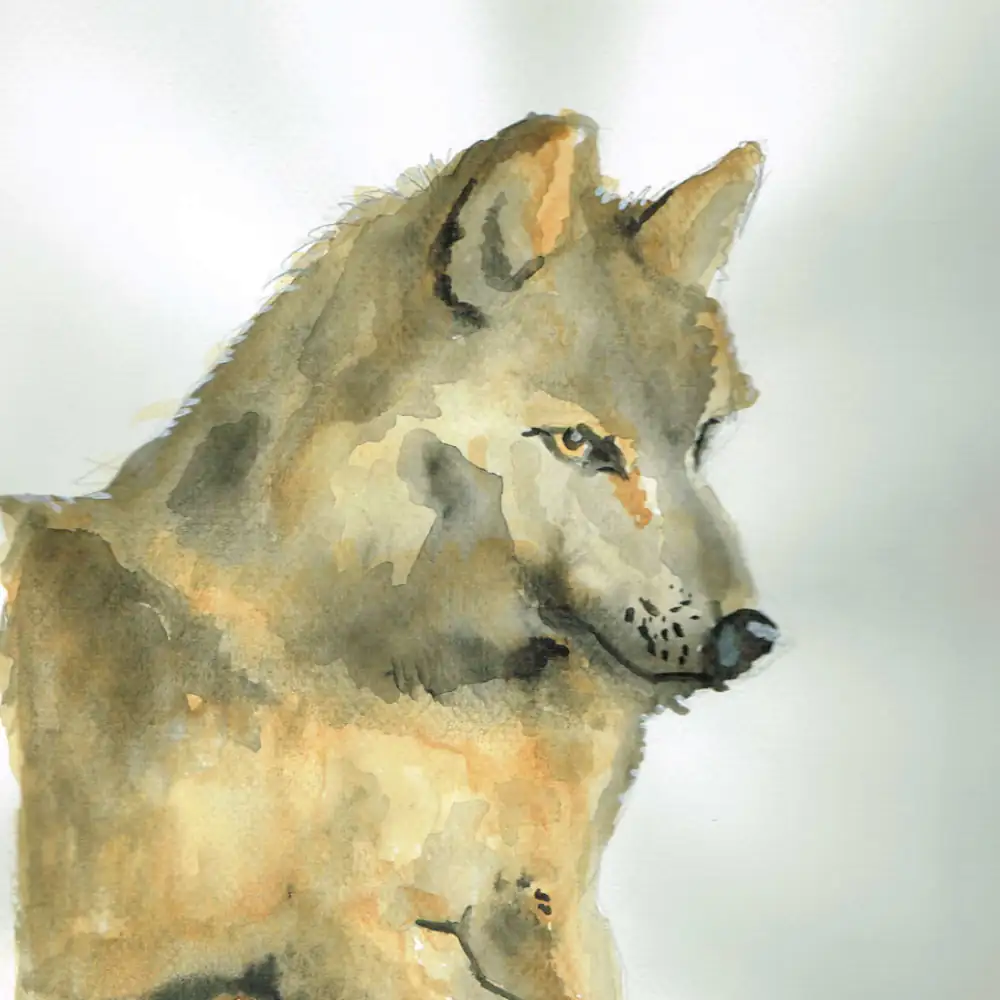 Watercolor on paper